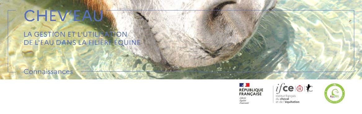 alt-text for my file